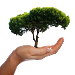 Green Earth Society sustainable future group logo